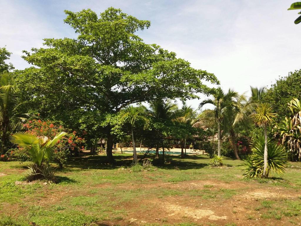 Kalipayan Beach Resort & Atlantis Dive Center Panglao Esterno foto