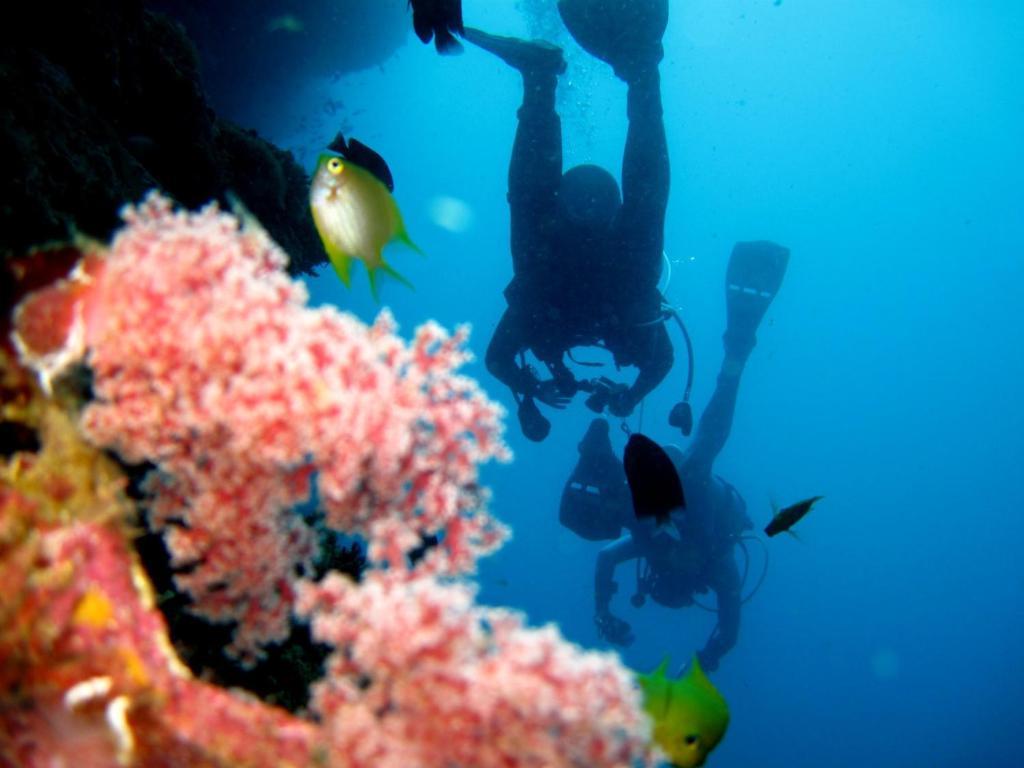 Kalipayan Beach Resort & Atlantis Dive Center Panglao Esterno foto