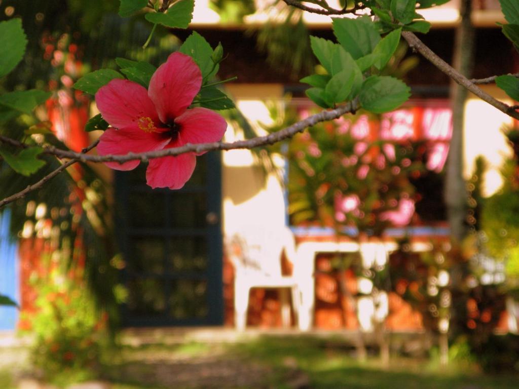 Kalipayan Beach Resort & Atlantis Dive Center Panglao Esterno foto